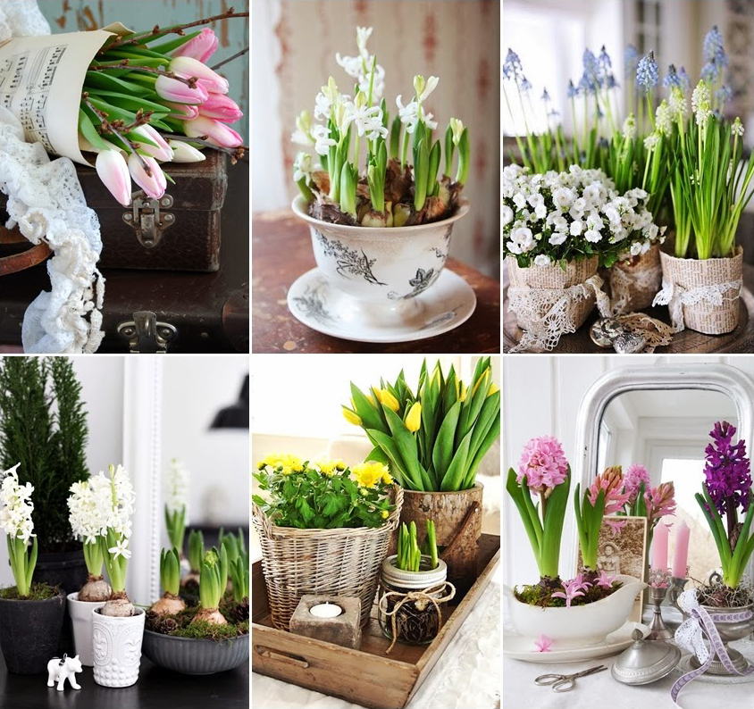 wiosenne kwiaty w domu